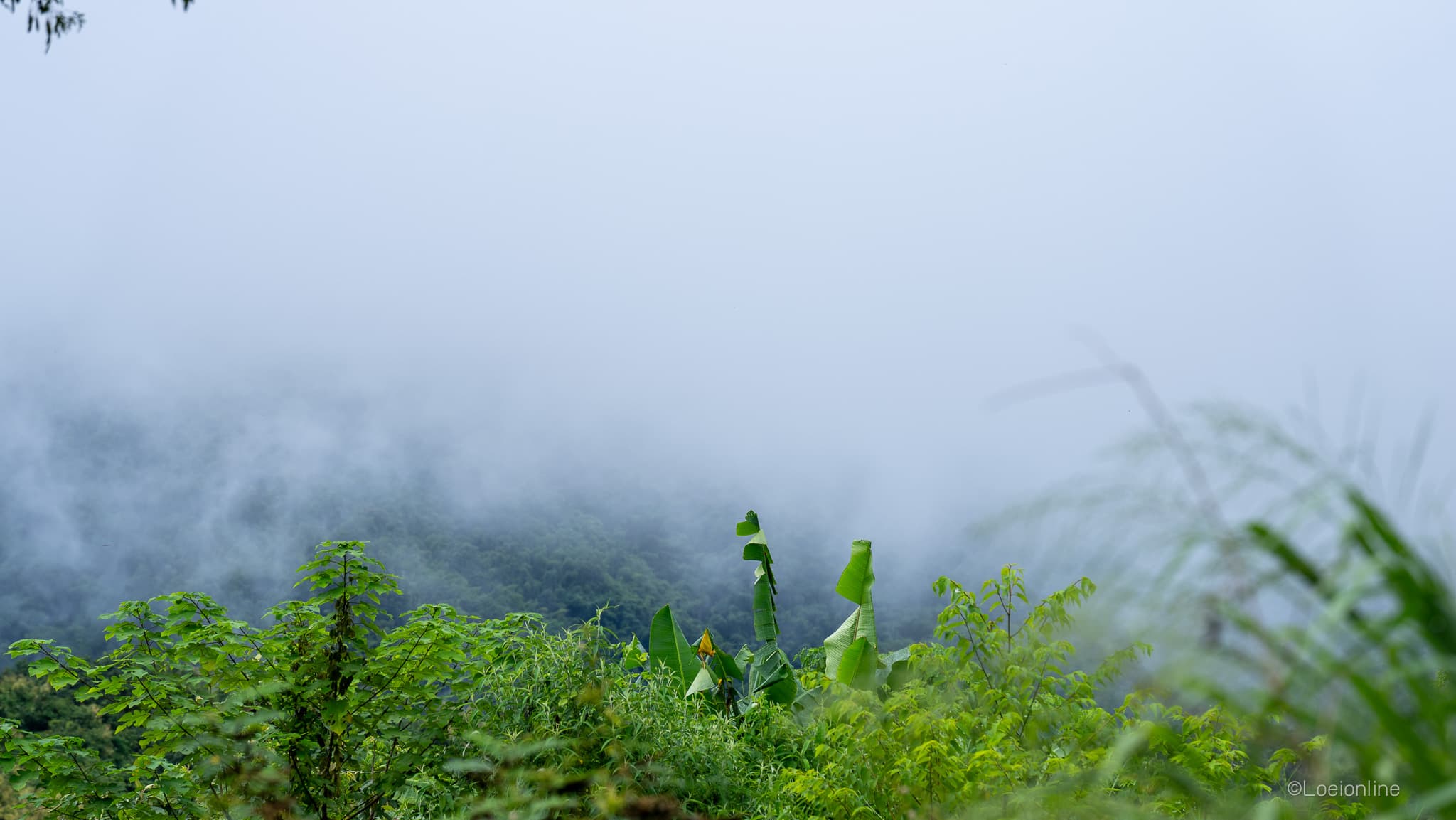ดินแดนแห่งทะเลภูเขา สุดหนาวในสยาม
